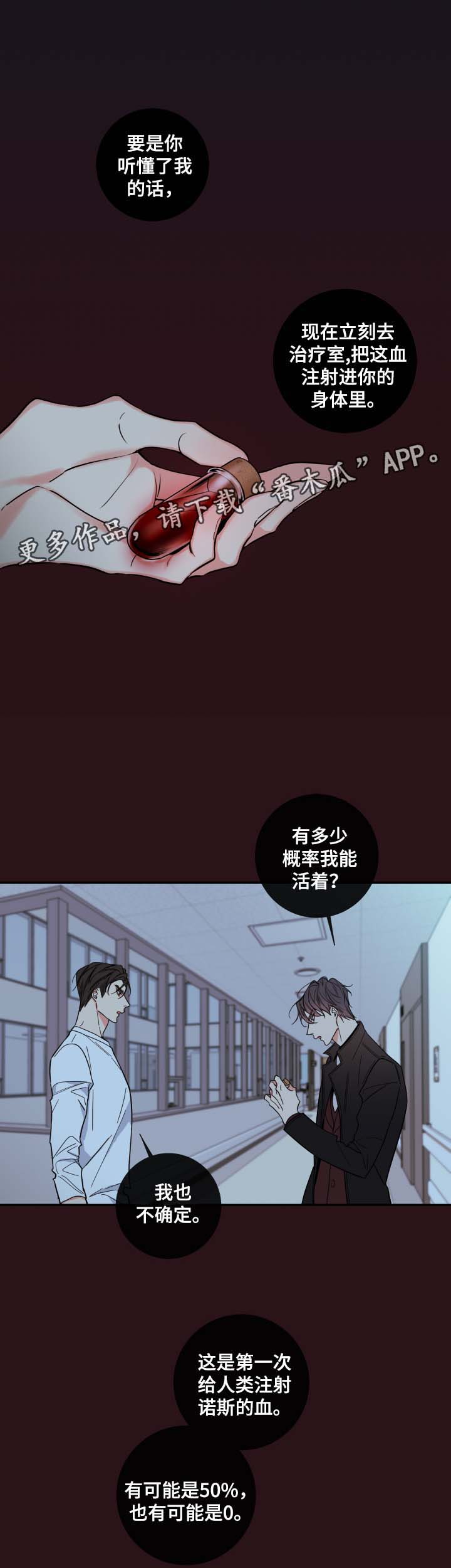 半血猎人丹皮尔上映时间漫画,第59章：赌一把2图