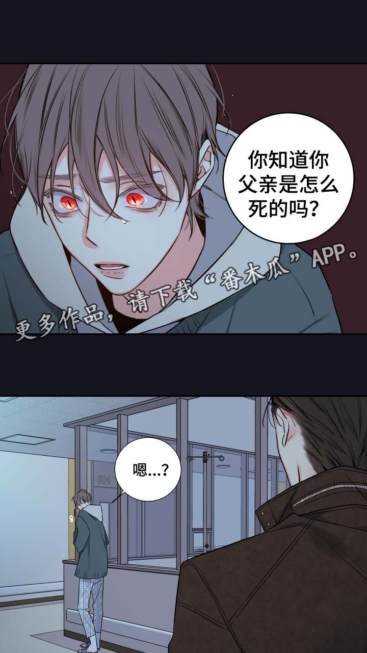 半血猪八戒漫画,第55章：父亲的死因2图