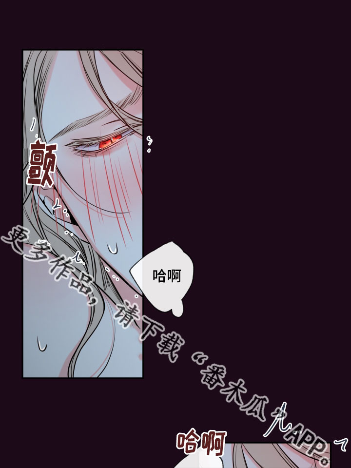 半血驼骨手串价格漫画,第39章：夜很长1图