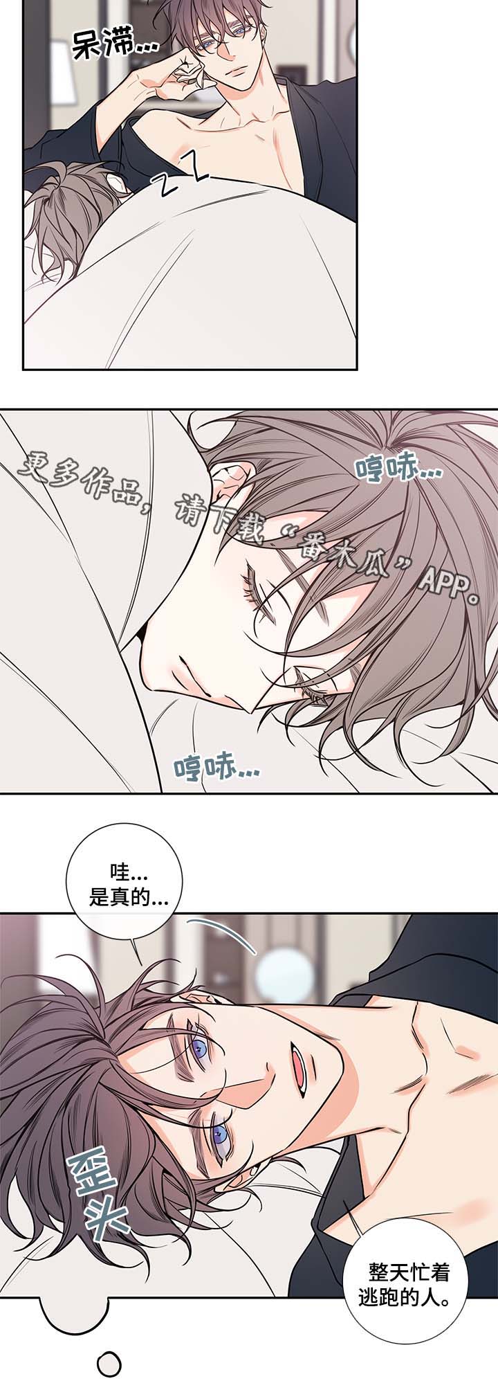 半血血族漫画解说漫画,第69章：老婆1图