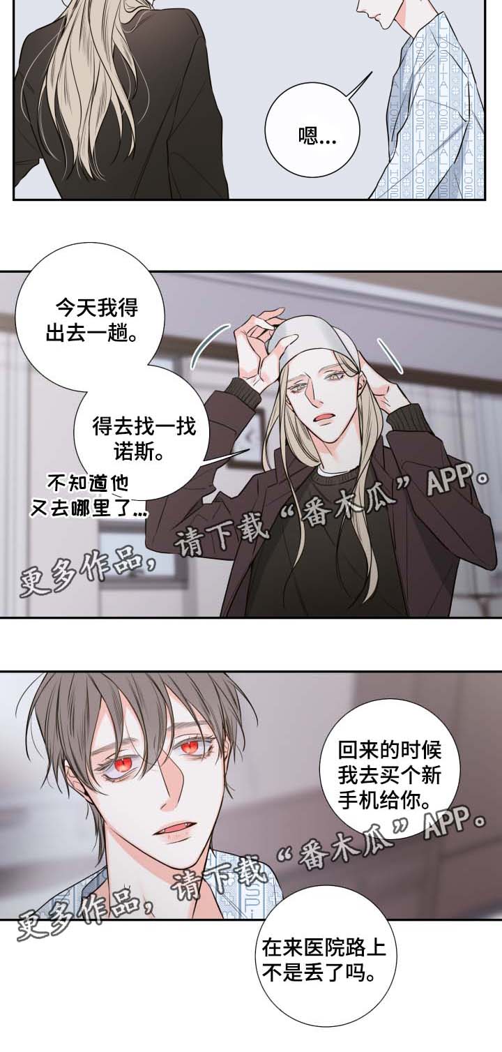 半吸血鬼血统漫画,第43章：寻找1图