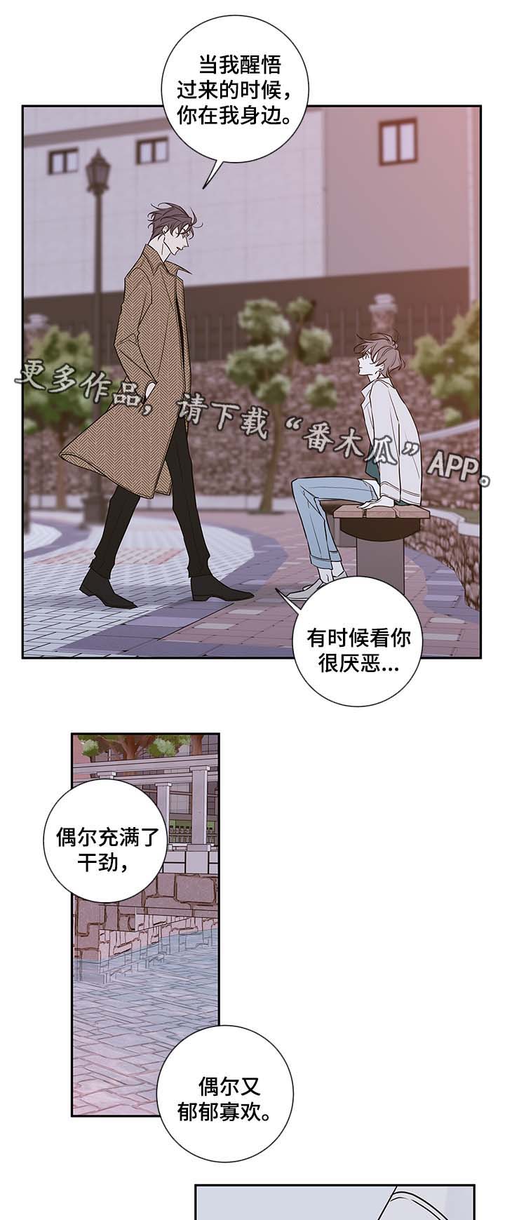 半血统拉布拉多漫画,第79章：我喜欢你，姜宇2图