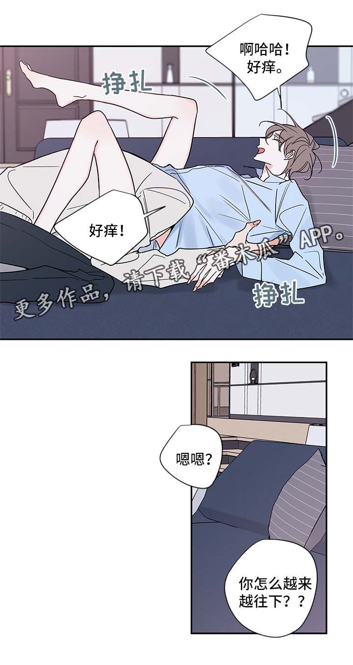 半血族群婚制漫画,第87章：回来上班2图