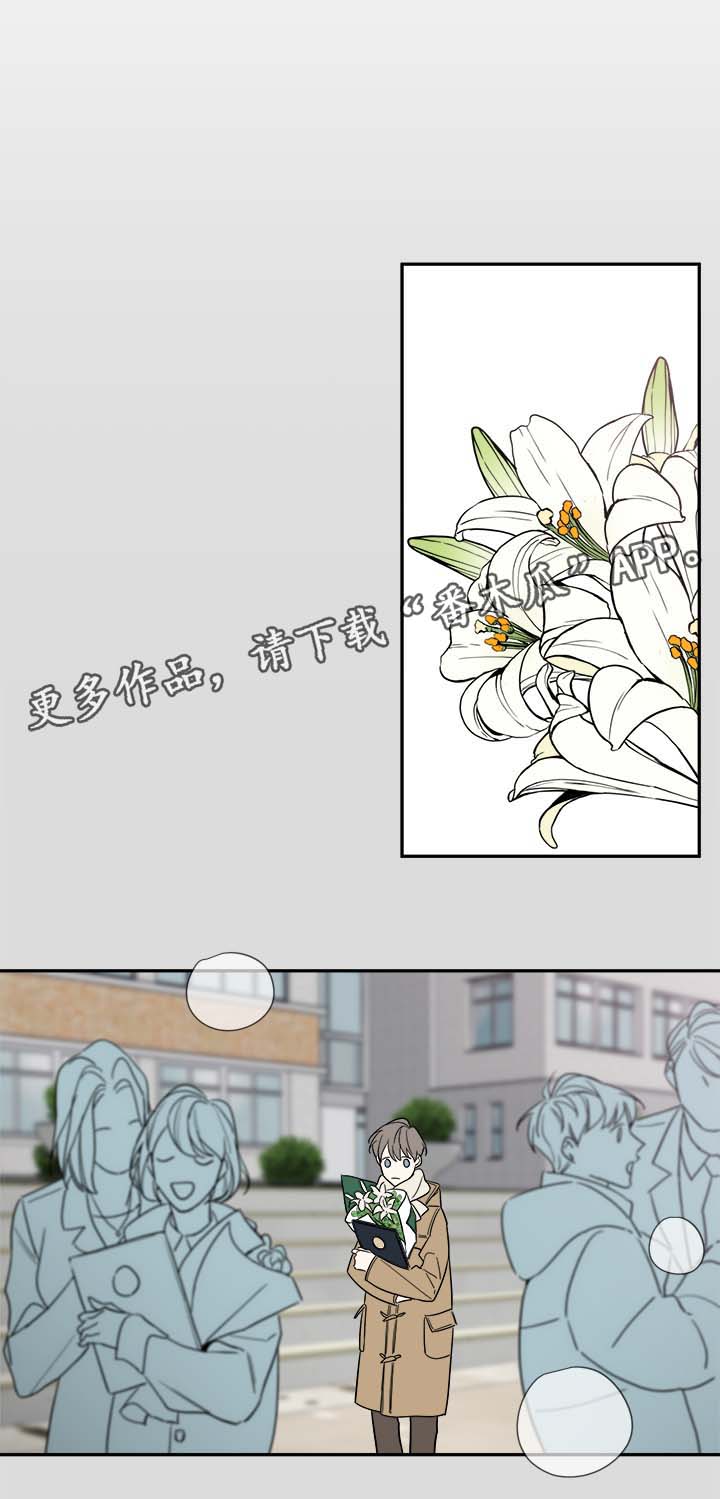 半血加攻击的装备漫画,第78章：尘埃落定2图
