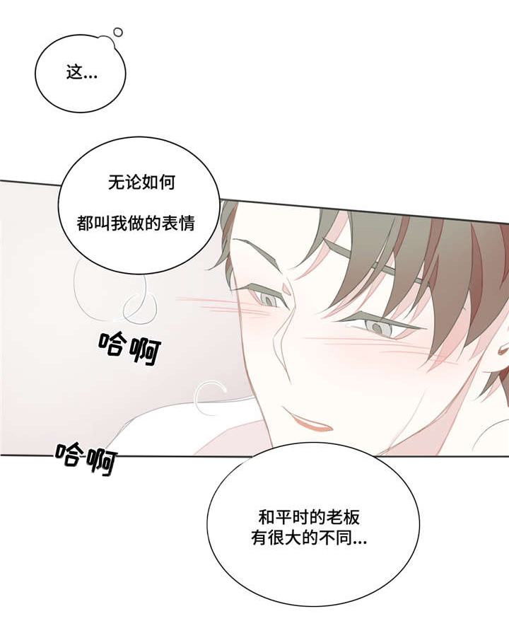 星和东家漫画,第19章：时间不够1图