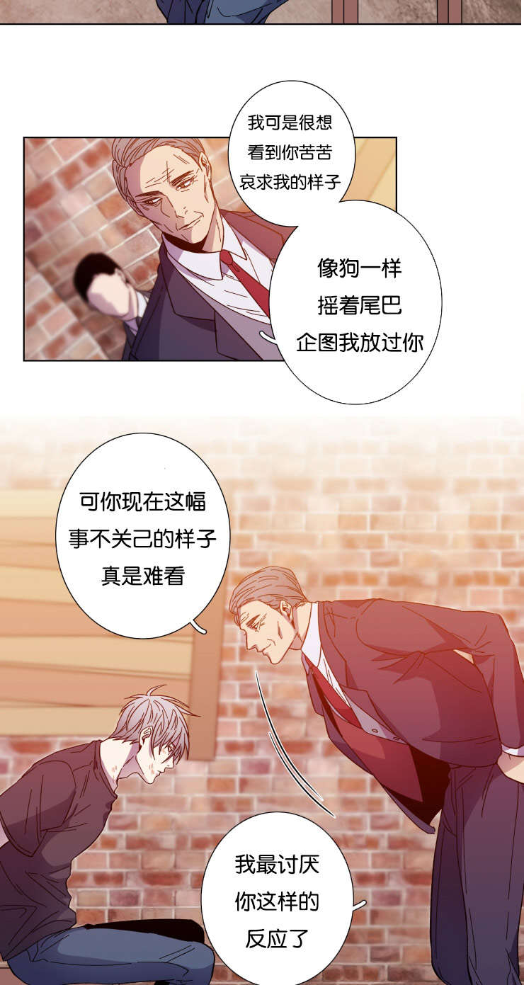 电子发光诱饵漫画,第56章：急迫2图