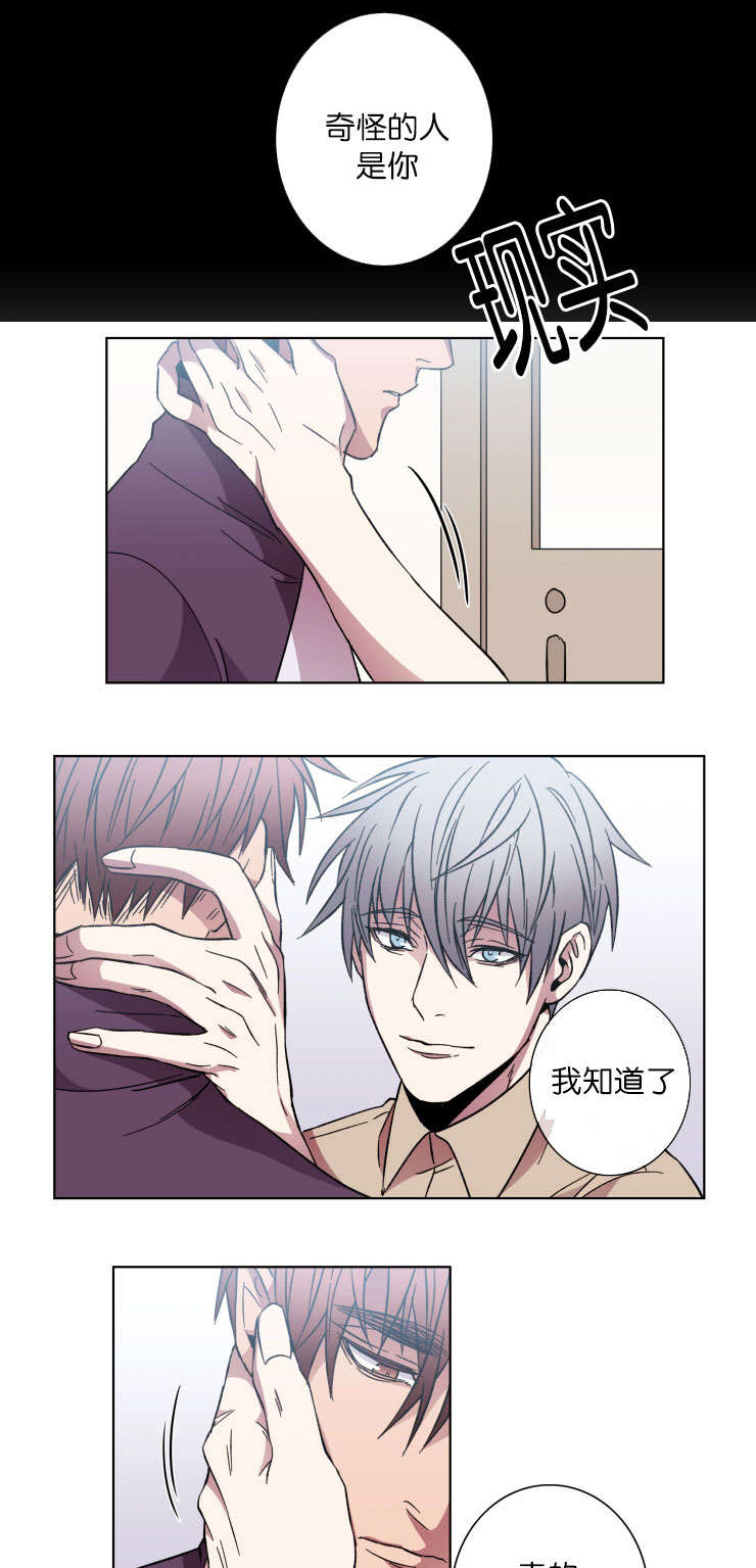 电子发光诱饵漫画,第50章：结束这一切2图
