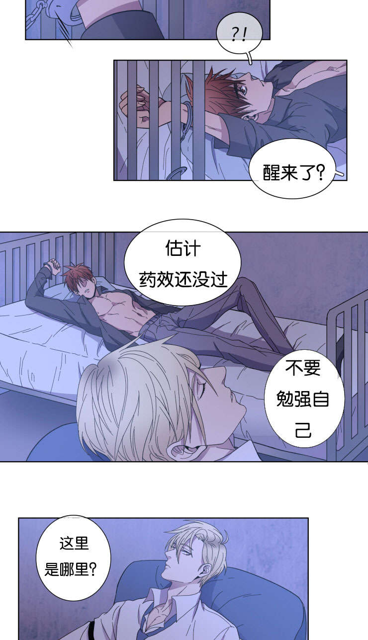 电子发光诱饵漫画,第24章：我的心意2图