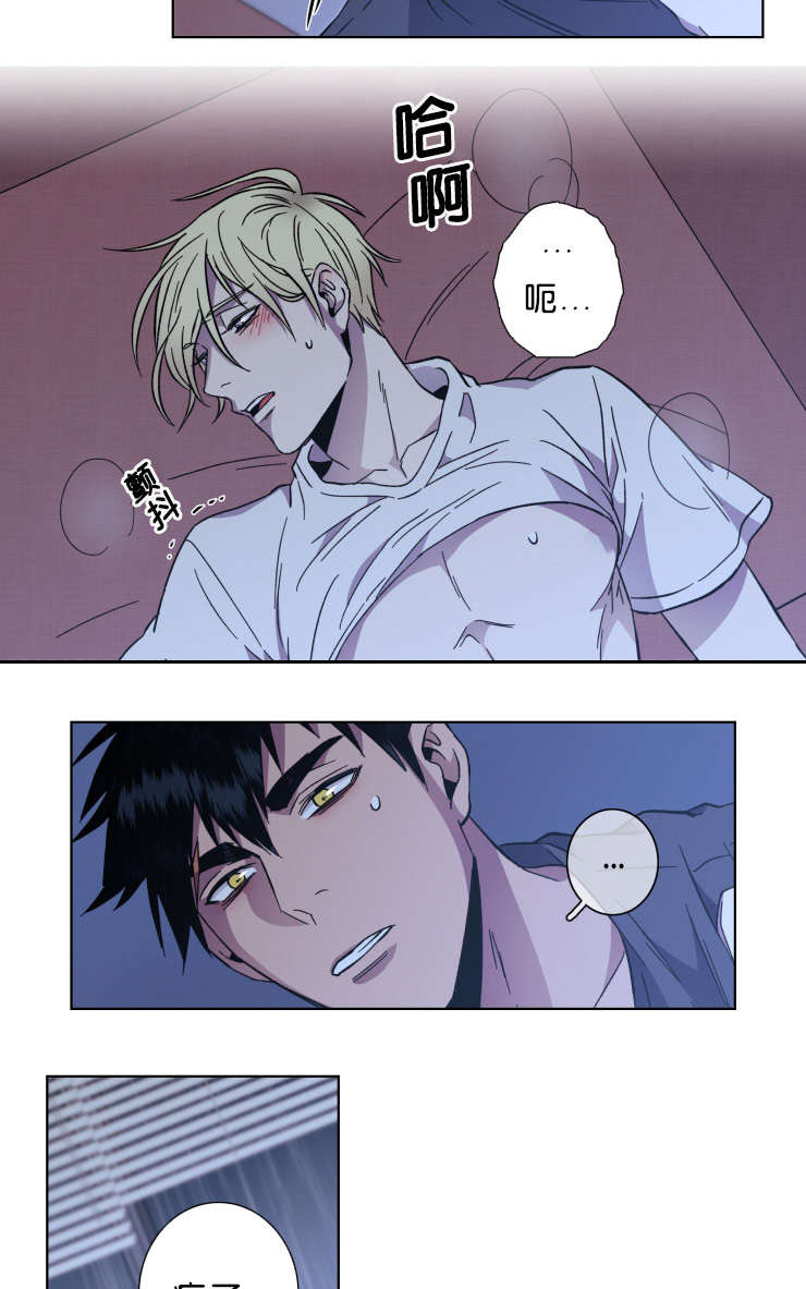 电子发光诱饵漫画,第53章：消失的日灿1图