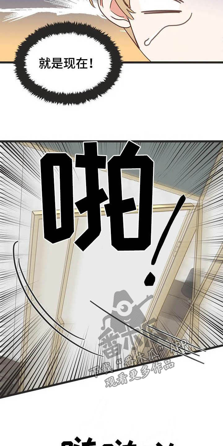 蛇族和羽族漫画,第187章：【番外】才艺展示1图