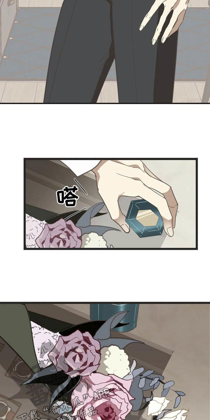 蛇族和羽族漫画,第180章：【番外】眼泪2图