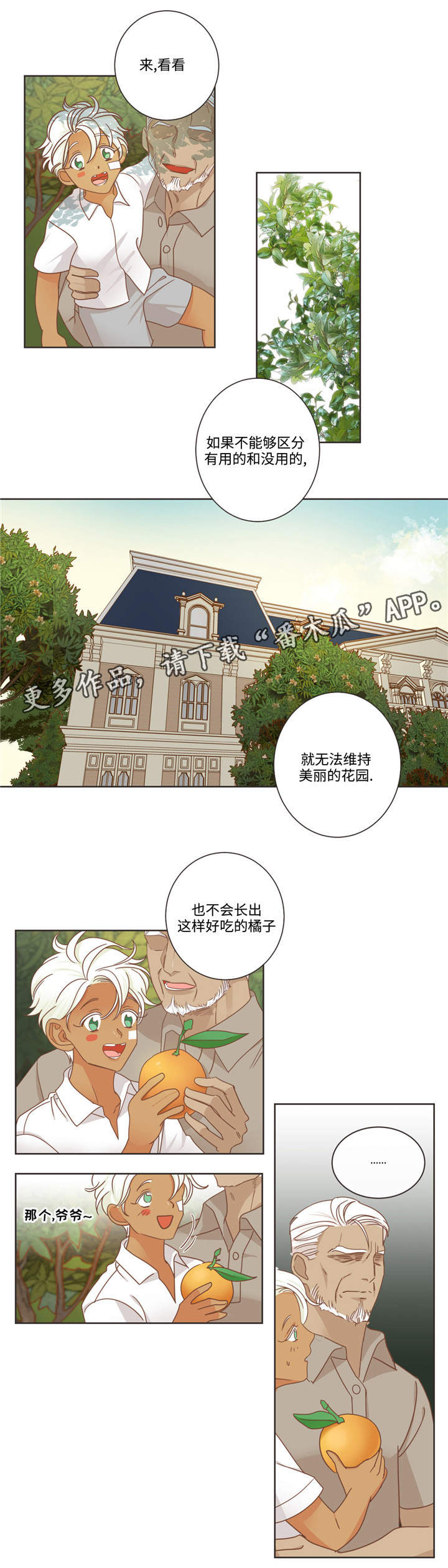 蛇族招式漫画,第68章：什么关系1图