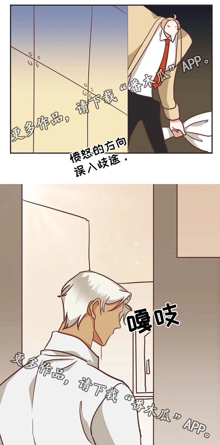 蛇族传说小美和大海大结局漫画,第111章：我可以解释1图