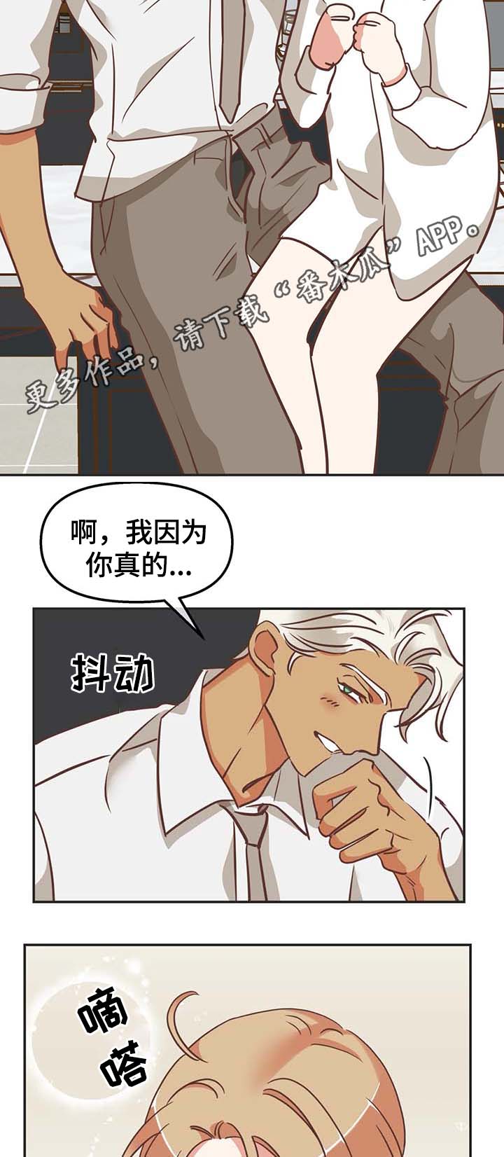 蛇族和羽族漫画,第114章：无话可说1图