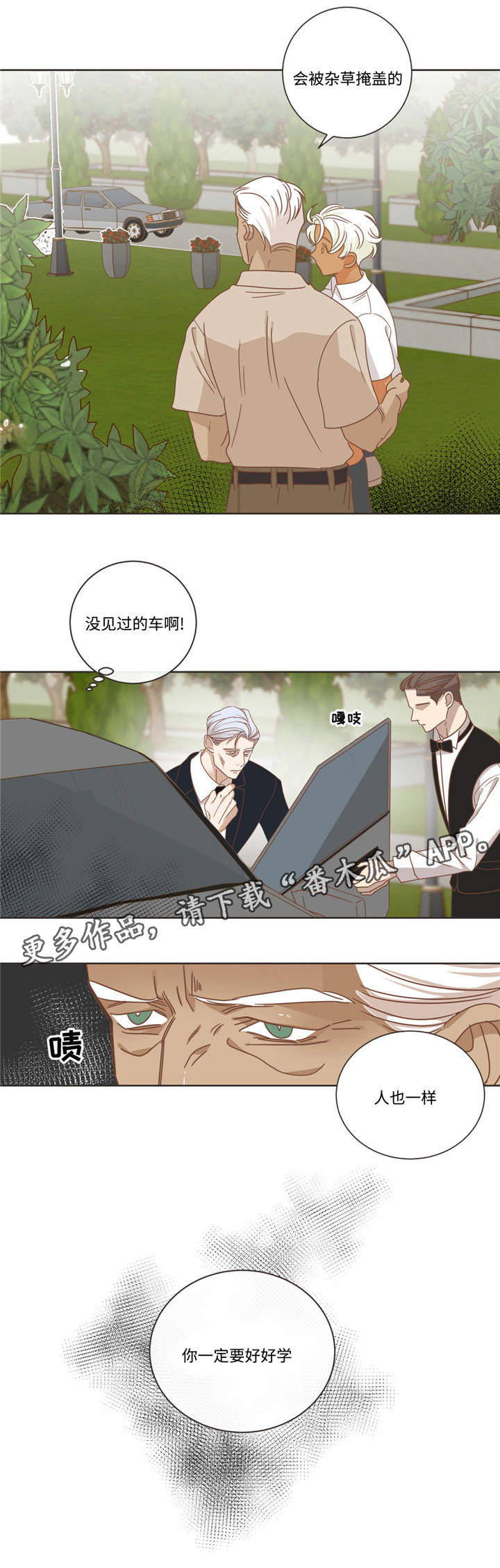 蛇族招式漫画,第68章：什么关系2图