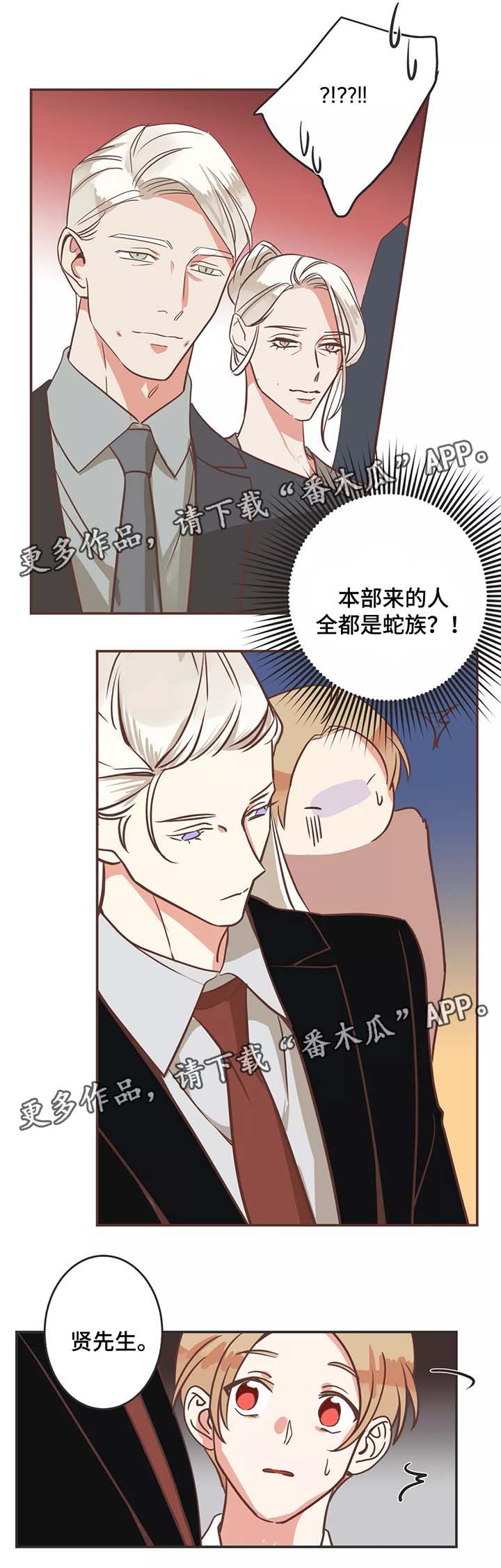 蛇族烙印在哪里可以免费看漫画,第85章：区别对待2图