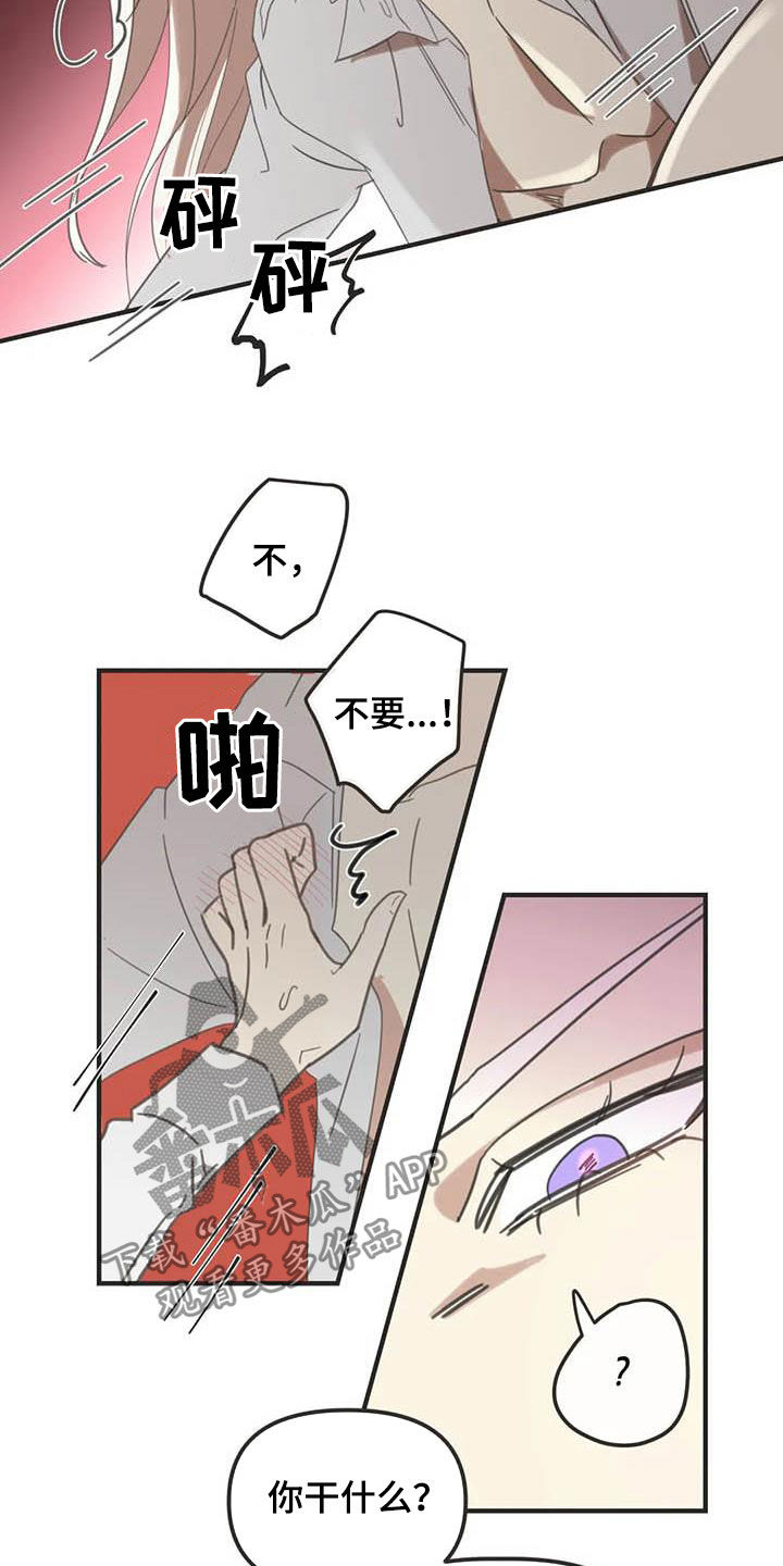 蛇族和羽族漫画,第177章：【番外】主动1图