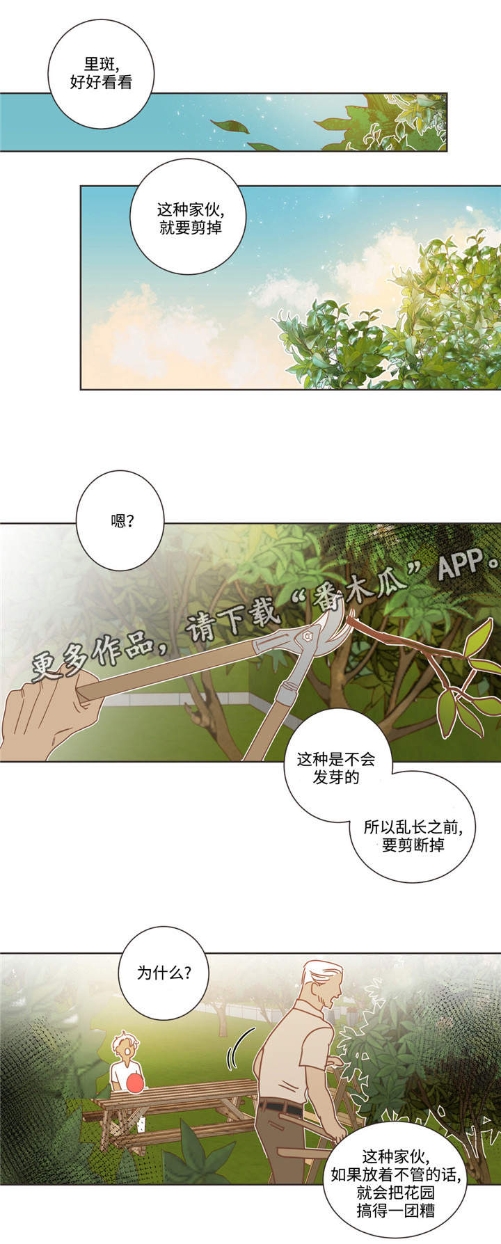 蛇族招式漫画,第68章：什么关系1图