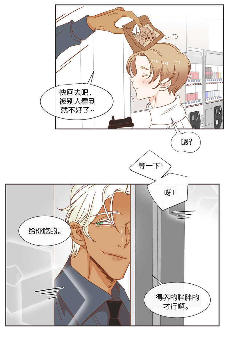 蛇族和羽族漫画,第41章：礼物1图