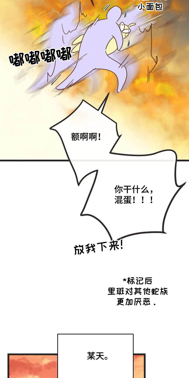 蛇族和羽族漫画,第186章：【番外】惊喜2图