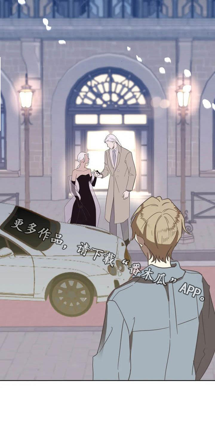 蛇族和羽族漫画,第179章：【番外】撞见1图