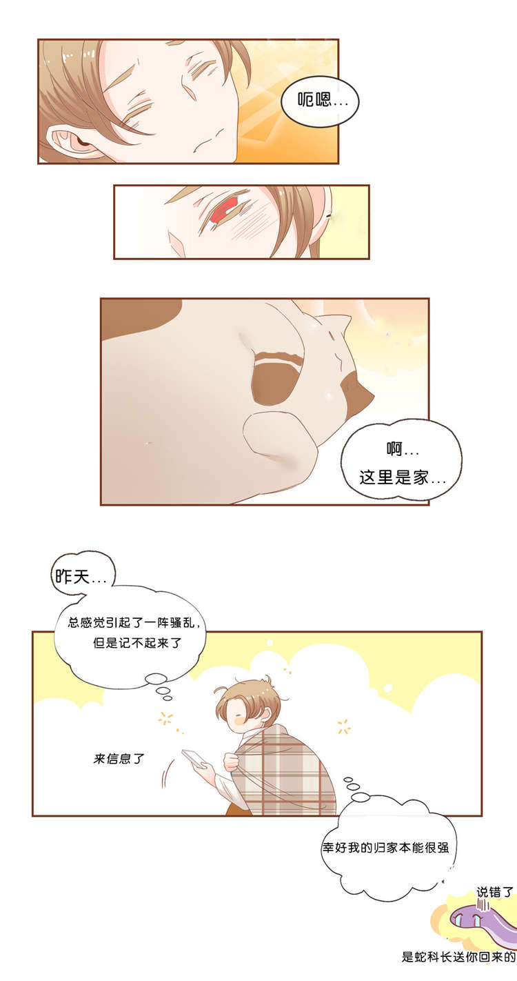 蛇族和羽族漫画,第38章：信息1图