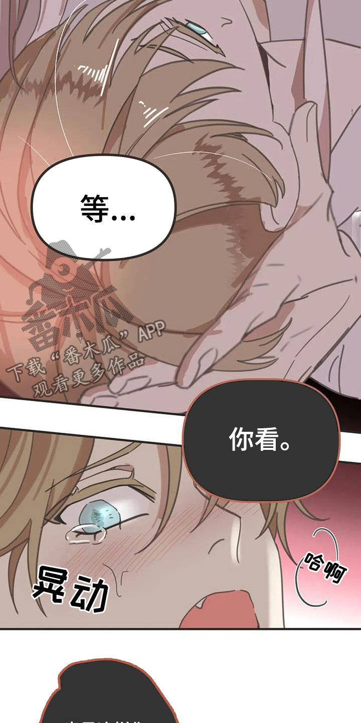 蛇族和羽族漫画,第177章：【番外】主动1图