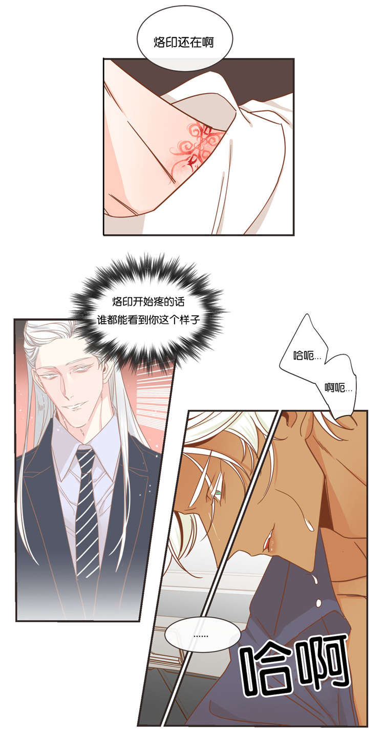 蛇族和羽族漫画,第46章：玩弄1图