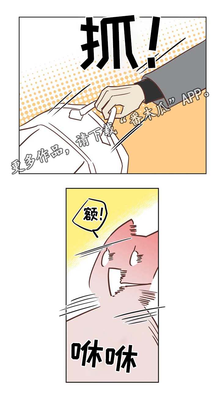 蛇族招式漫画,第106章：冤大头1图