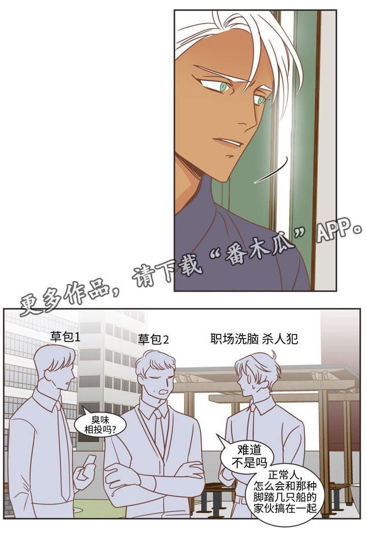 蛇族烙印在哪里可以免费看漫画,第74章：恶心话题1图