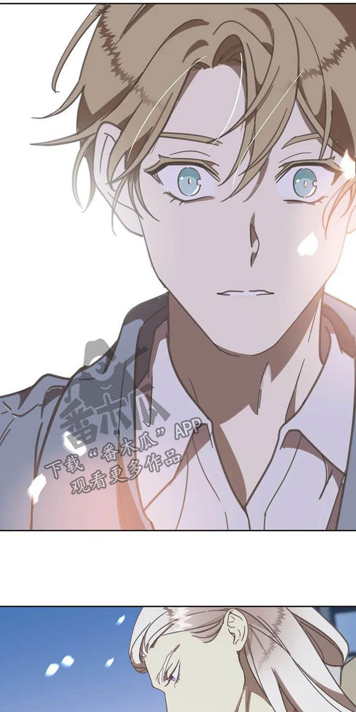 蛇族和羽族漫画,第179章：【番外】撞见1图
