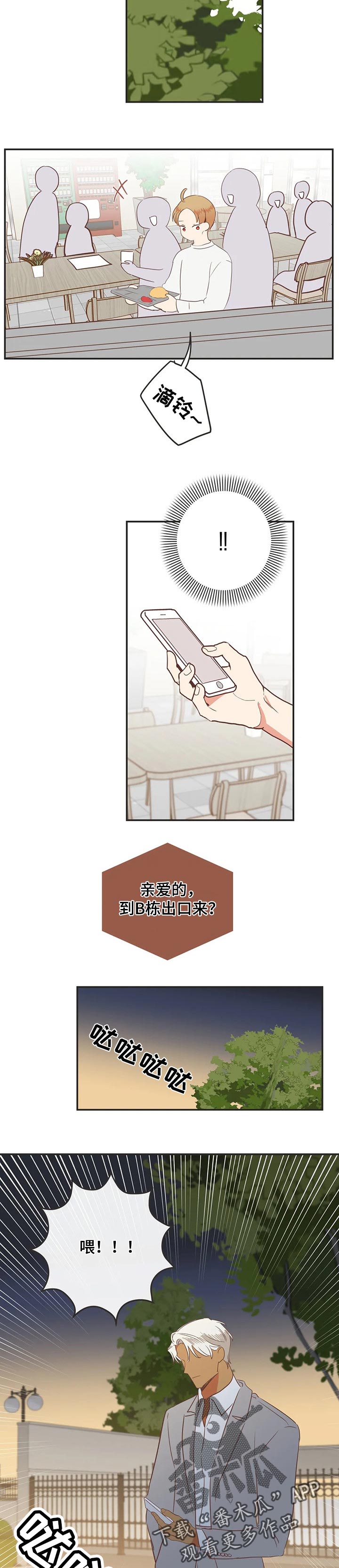 蛇族和鹰族漫画,第162章：瞒着2图