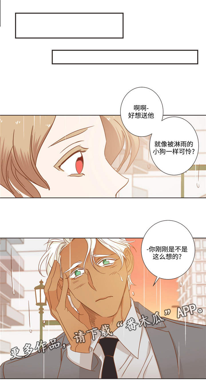 蛇族烙印百度网盘漫画,第64章：伤心了吗2图