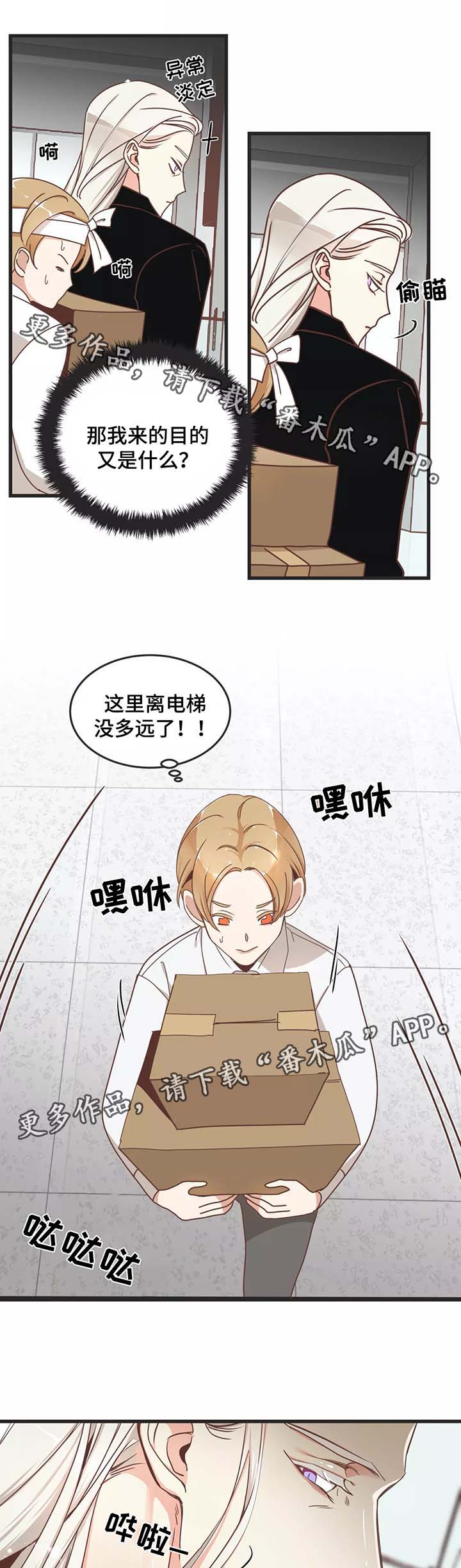 蛇族小说漫画,第81章：搬东西1图