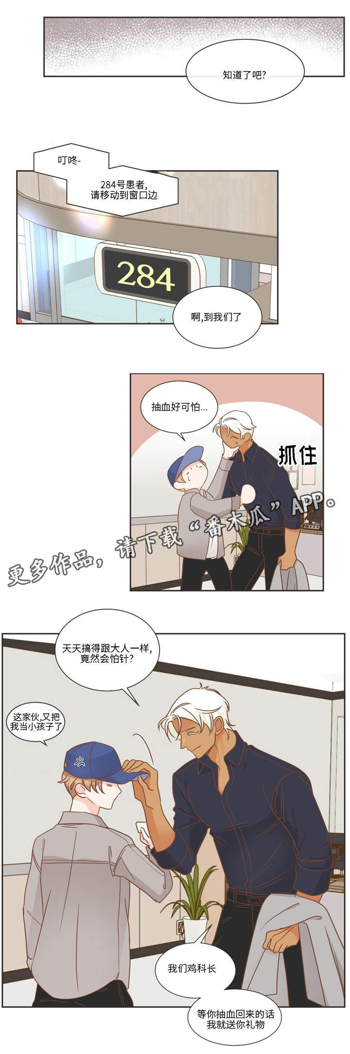 蛇族和羽族漫画,第78章：怎么办才好2图