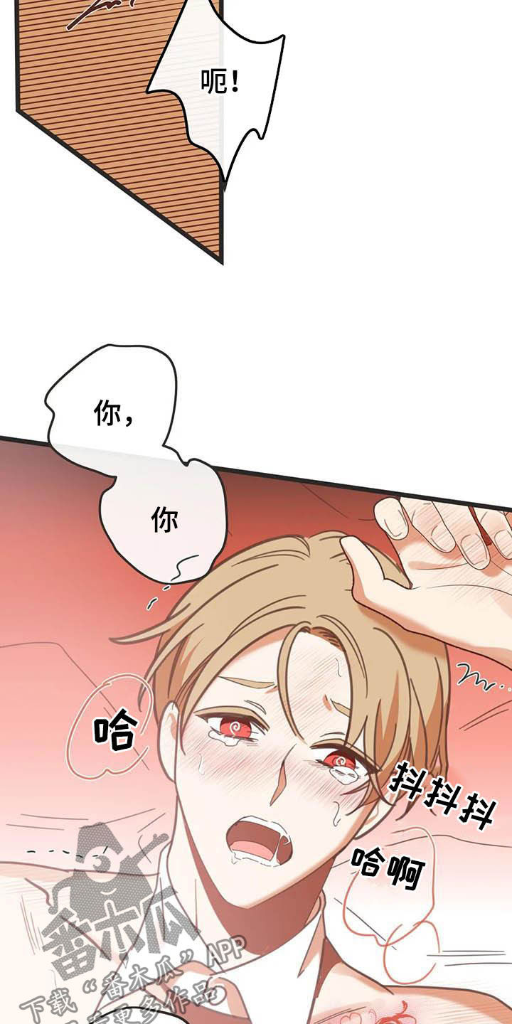 蛇族最强者漫画,第189章：【番外】礼物1图
