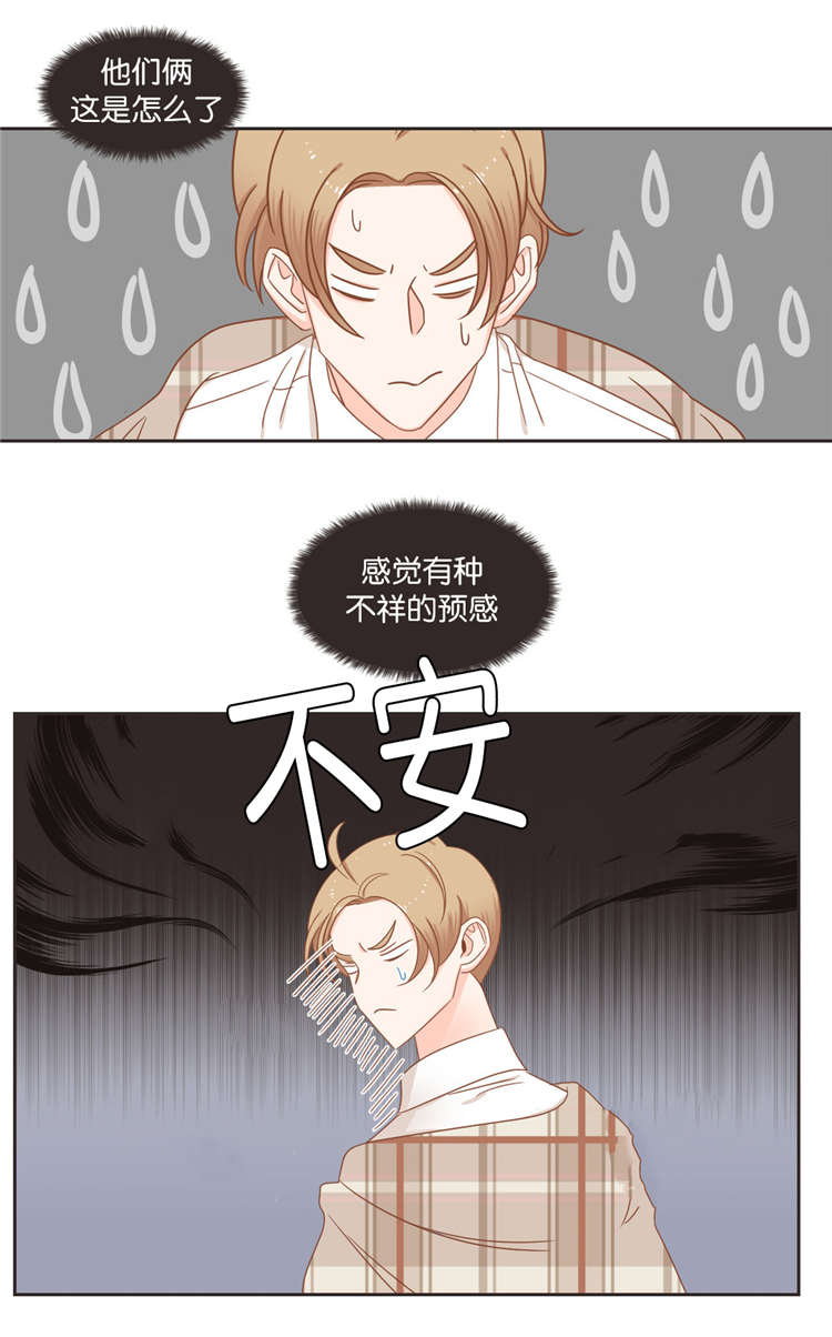 蛇族烙印漫画全集漫画,第39章：争斗1图