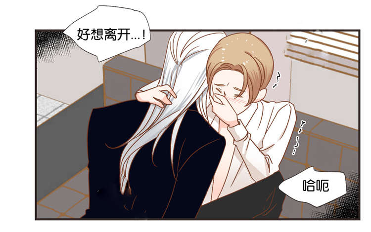 蛇族和羽族漫画,第30章：面对面1图