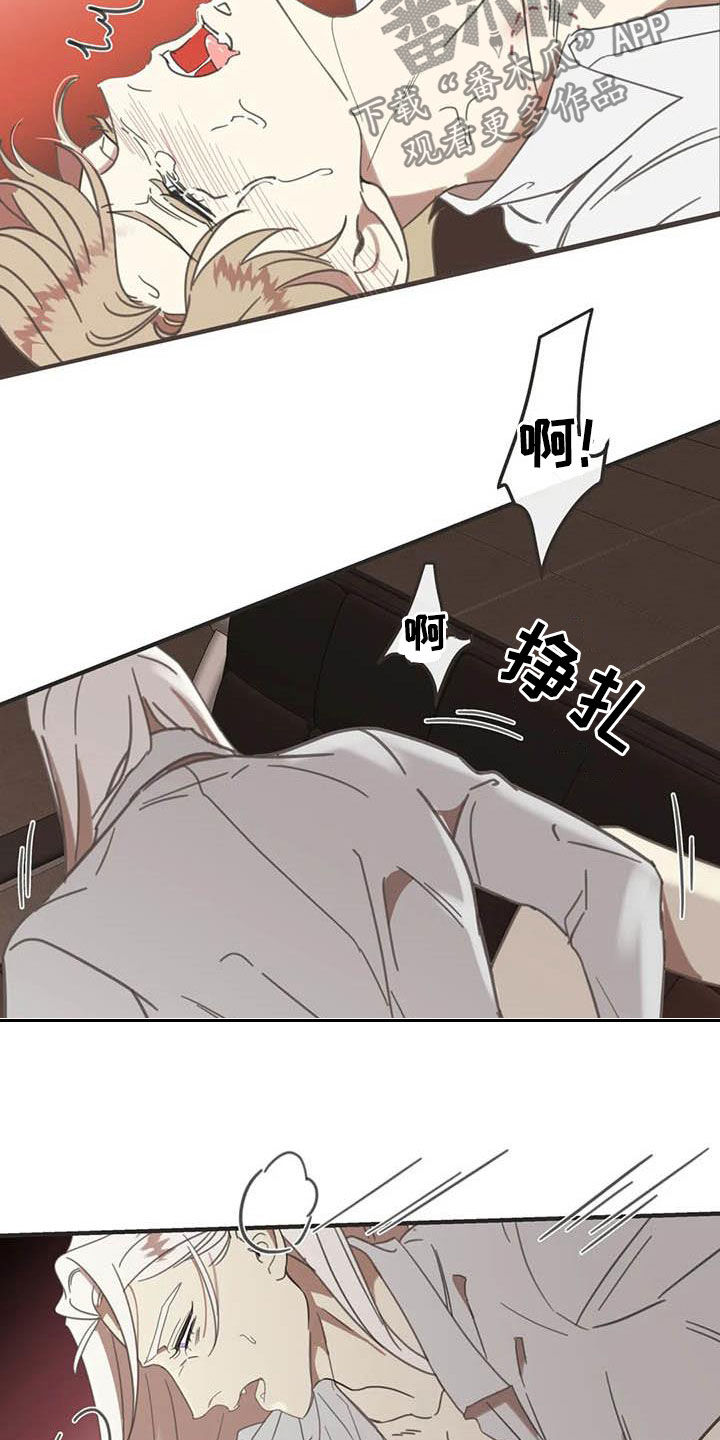 蛇族和羽族漫画,第177章：【番外】主动2图