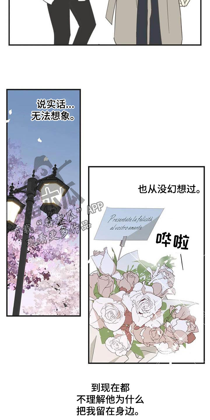 蛇族和羽族漫画,第179章：【番外】撞见2图