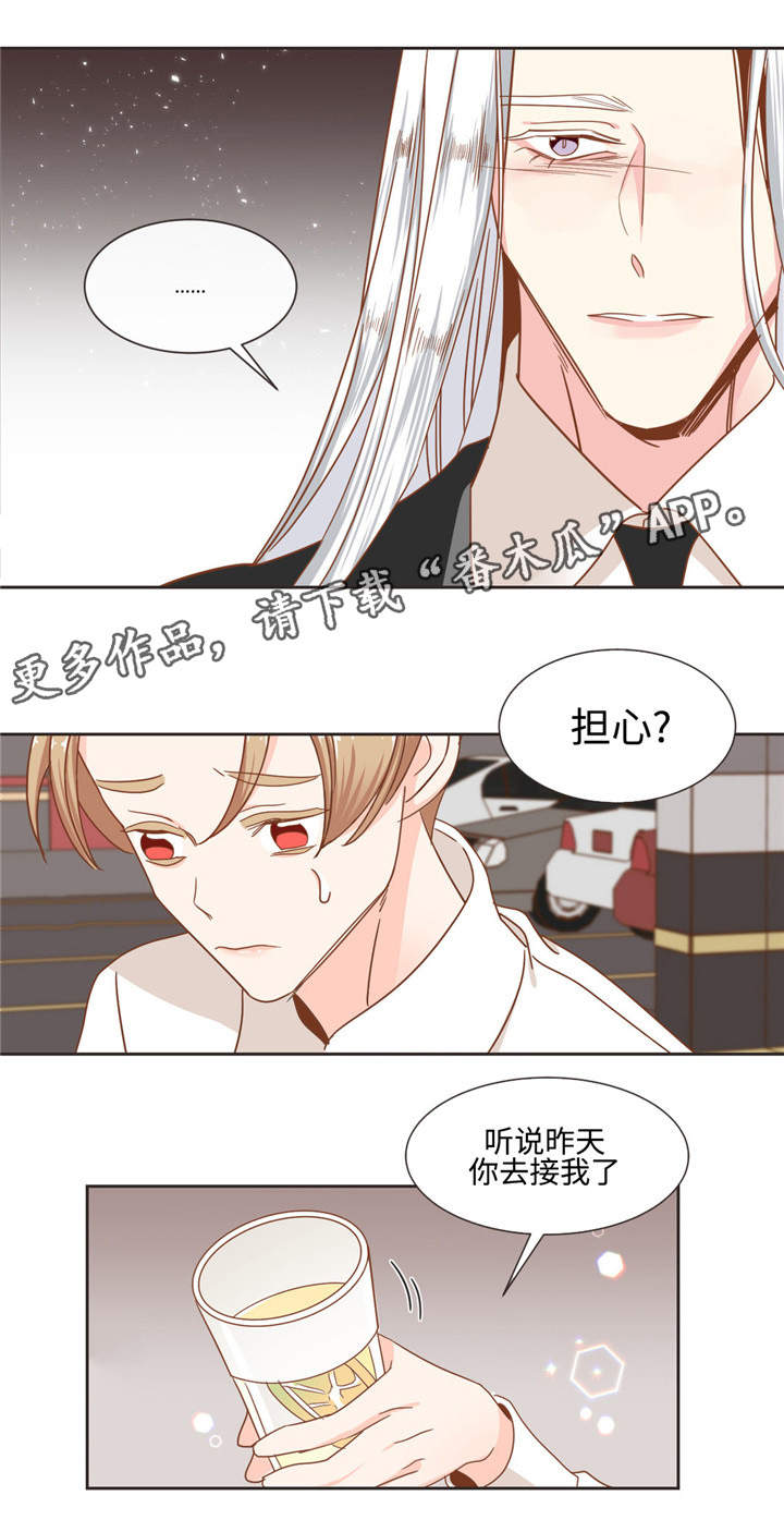 蛇族招式漫画,第54章：猫毛2图