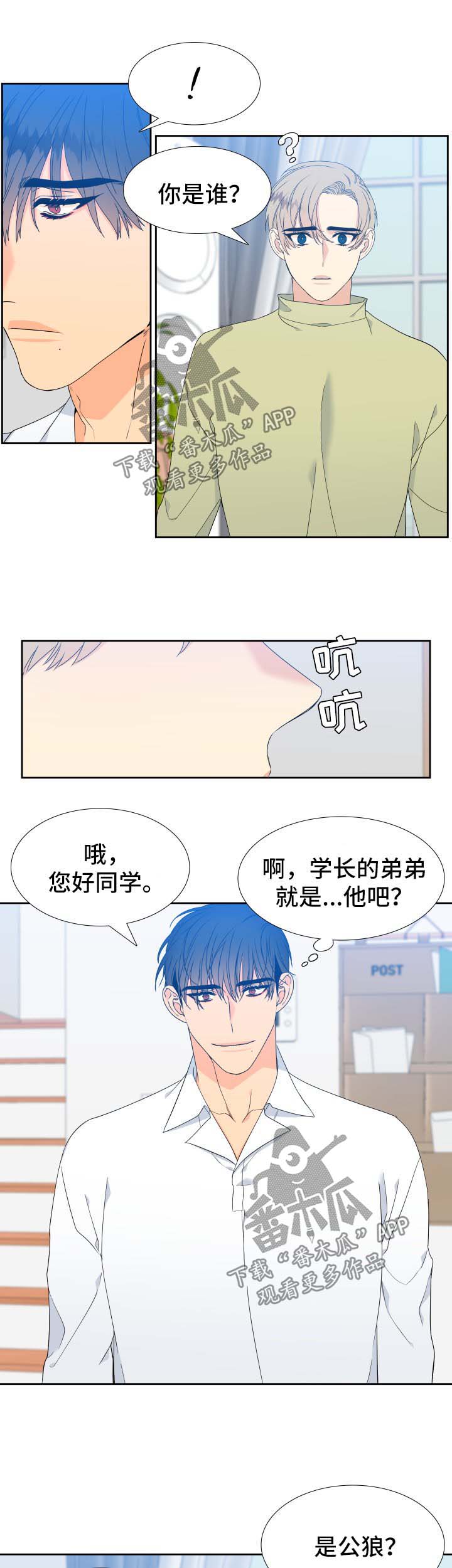 狼的香气/血缘纽带漫画第221话漫画,第141章：【第二季】只有我能叫哥1图