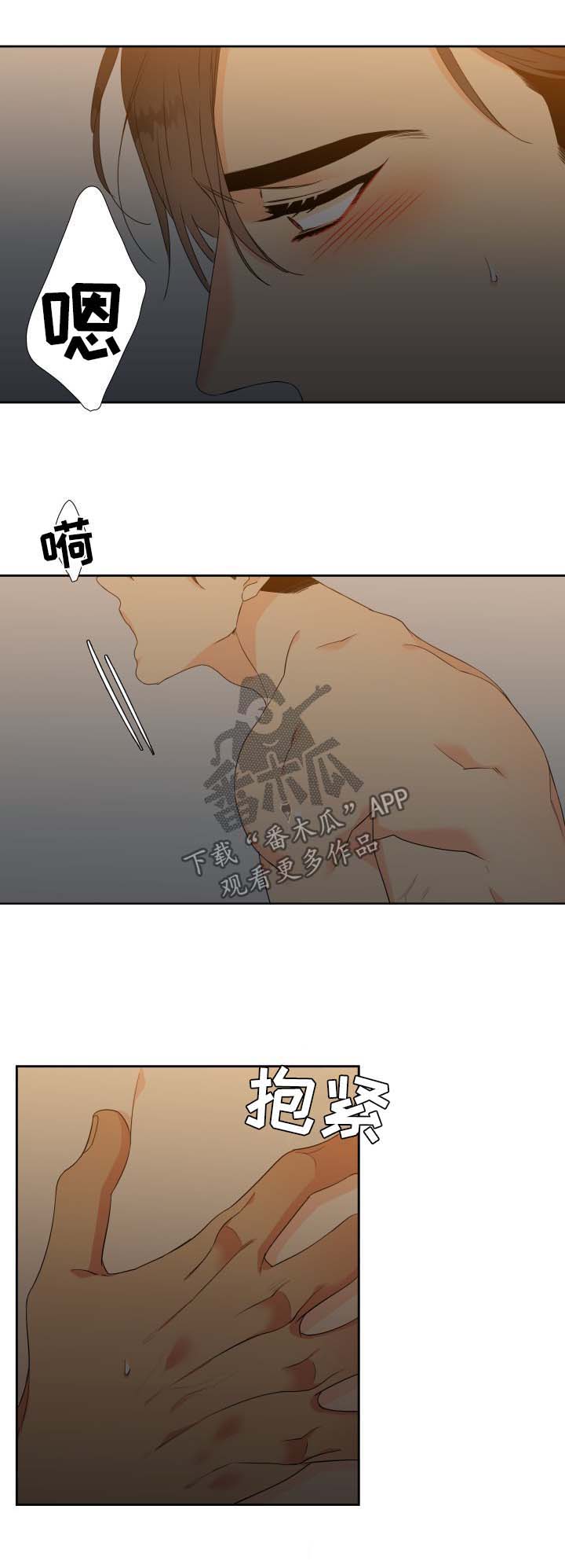 狼的香气免费漫画漫画,第139章：【第二季】哥哥去哪了1图