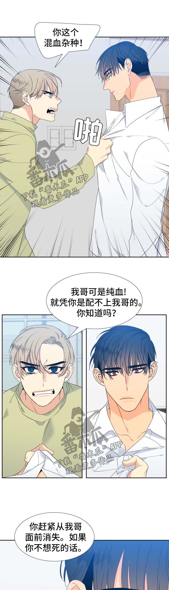 狼的香气/血缘纽带漫画第221话漫画,第141章：【第二季】只有我能叫哥1图