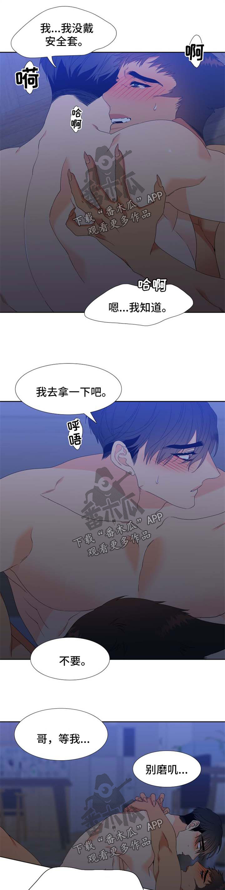 狼的香气人物关系漫画,第160章：【第二季】繁殖期的母狼1图