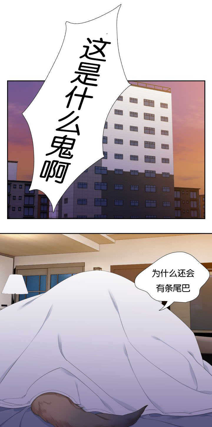 狼的香气/血缘纽带漫画第221话漫画,第31章：随心所欲2图