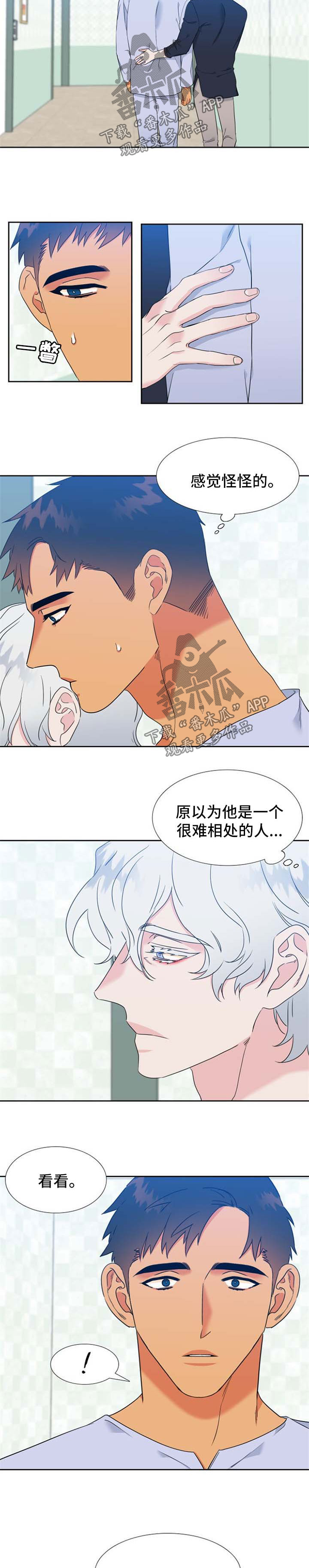 狼的香气/血缘纽带漫画第221话漫画,第213章：【第二季】主人格苏醒2图