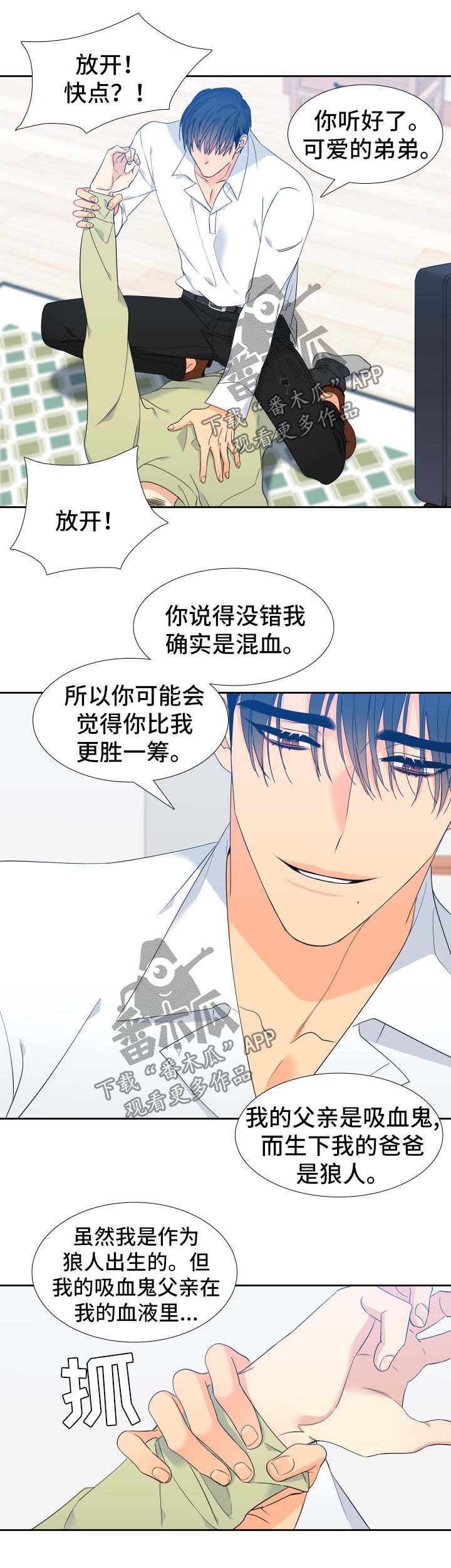 狼的香气/血缘纽带漫画第221话漫画,第141章：【第二季】只有我能叫哥1图