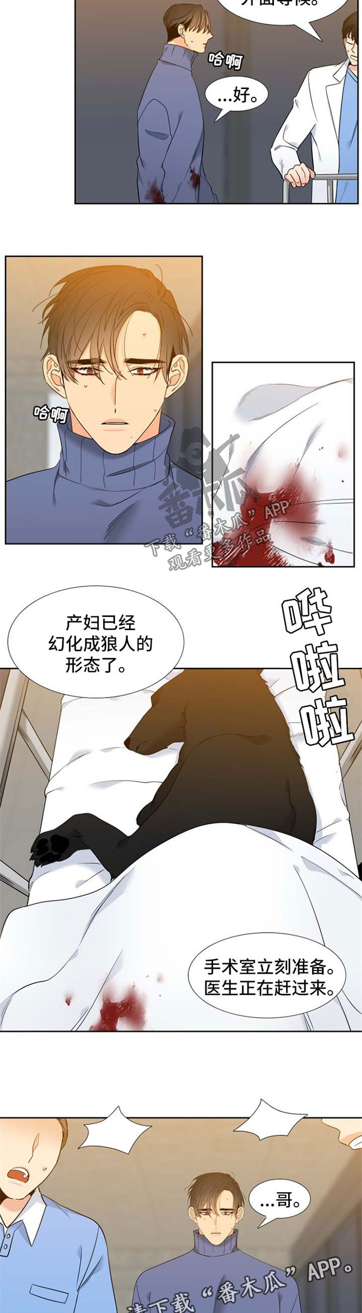 酷漫屋下拉式(免费漫画)下载漫画,第205章：【第二季】生产2图