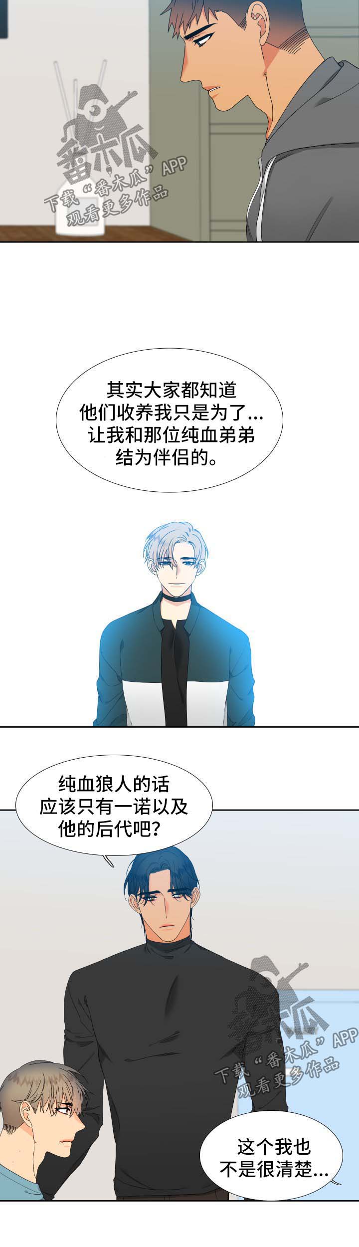 狼的香气/血缘纽带漫画第221话漫画,第145章：【第二季】捏造记忆2图